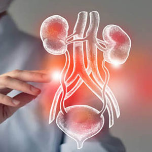 Urology Hospital Best Urology Hospital in Dadar