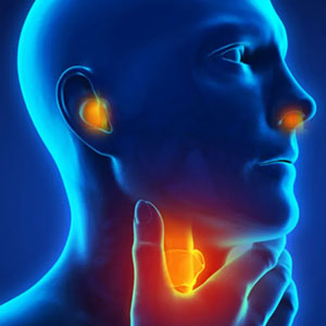 Otolaryngology Best Otolaryngology Hosptal in Dadar